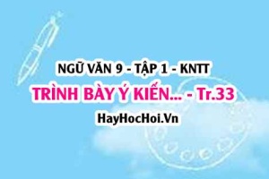 Soạn bài Trình bày ý kiến về một sự việc có tính thời sự trang 33 Ngữ văn lớp 9 tập 1 Kết nối tri thức